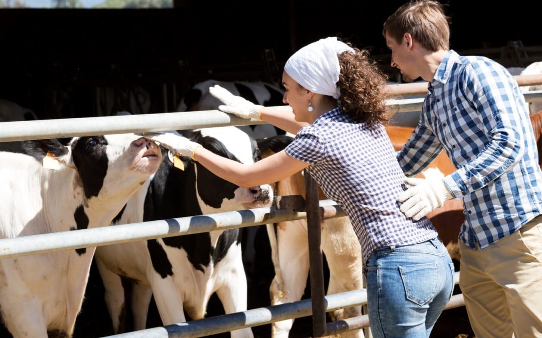 Romantische Auszeit auf dem Bauernhof: Entschleunigung in ländlicher Idylle